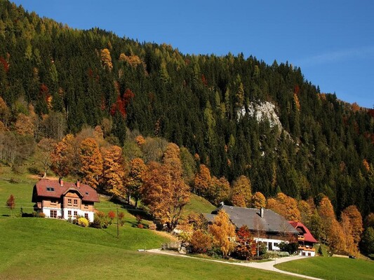 Herbst am Rössingerhof