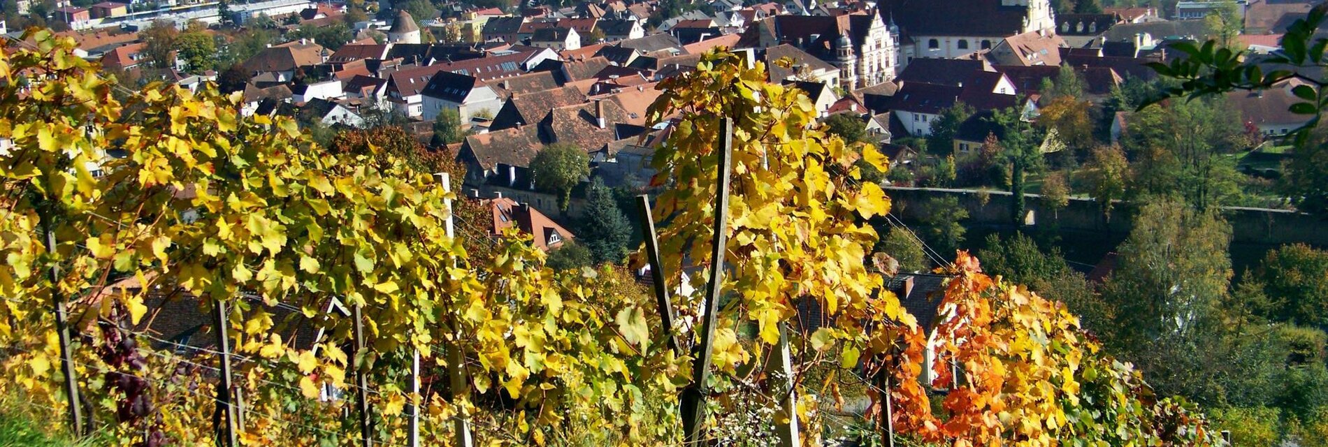 Aussicht über Hartberg