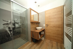 Badezimmer Appartement Zenzi