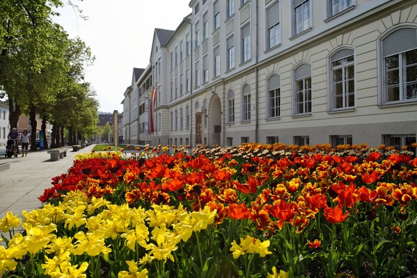 Europa Allee | © Bernhard Bergmann