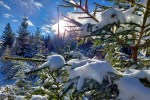 Winterimpression | © TV Hochsteiermark