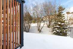 JGFoto_Arton_122024_Top 6-3