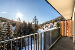 JGFoto_Arton_122024_Top 4-5