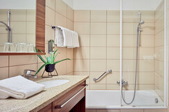 DZ Mandira Standard1