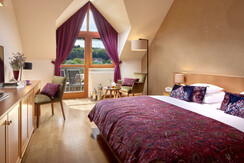 DZ Mandira Standard (4)