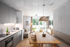 BASE 2.04 | open living room and dining area with kitchen