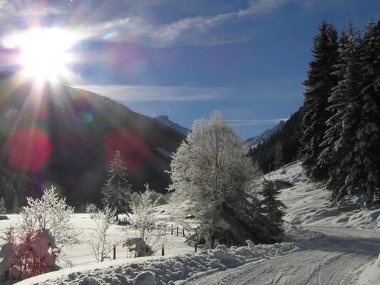 Winterlandschaft-Preunegg