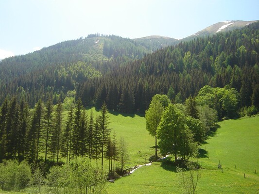 BauernhofHansbauer-Natur-Murtal-Steiermark | © Ferienhaus Hansbauer