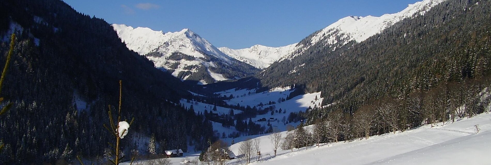 BauernhofHansbauer-Winter-Murtal-Steiermark