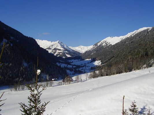 BauernhofHansbauer-Winter-Murtal-Steiermark | © Ferienhaus Hansbauer