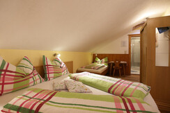 Farm Haufhof Pension - triple room "Planai"