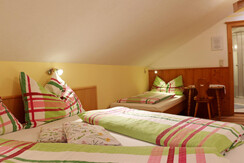 Farm Haufhof Pension - triple room "Planai"
