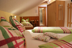 Farm Haufhof Pension - triple room "Planai"