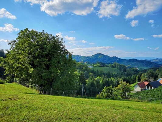 Bauernhof Familie Kure Ausblick | © Bauernhof Familie Kure | Ines Kure