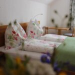 Bild von Grießsteinblick Doppelzimmer - 4 Nächte | © Bio Bauernhof Braun