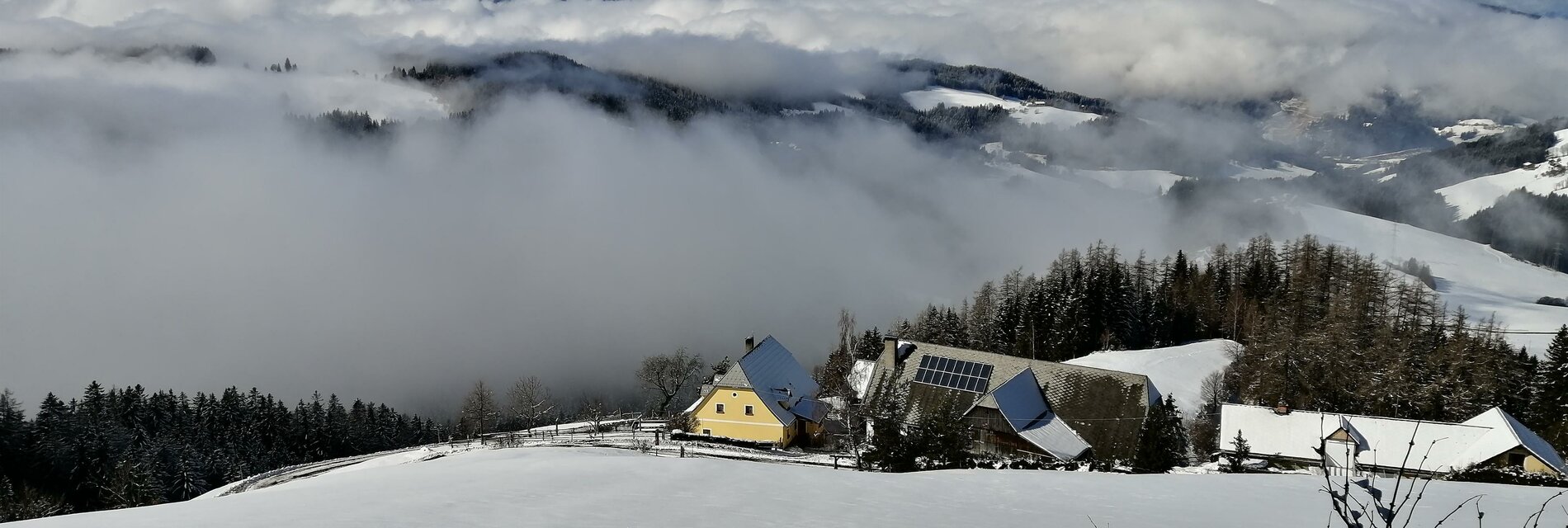 Bergbauernhof-Rami-Winter-Murtal-Steiermark