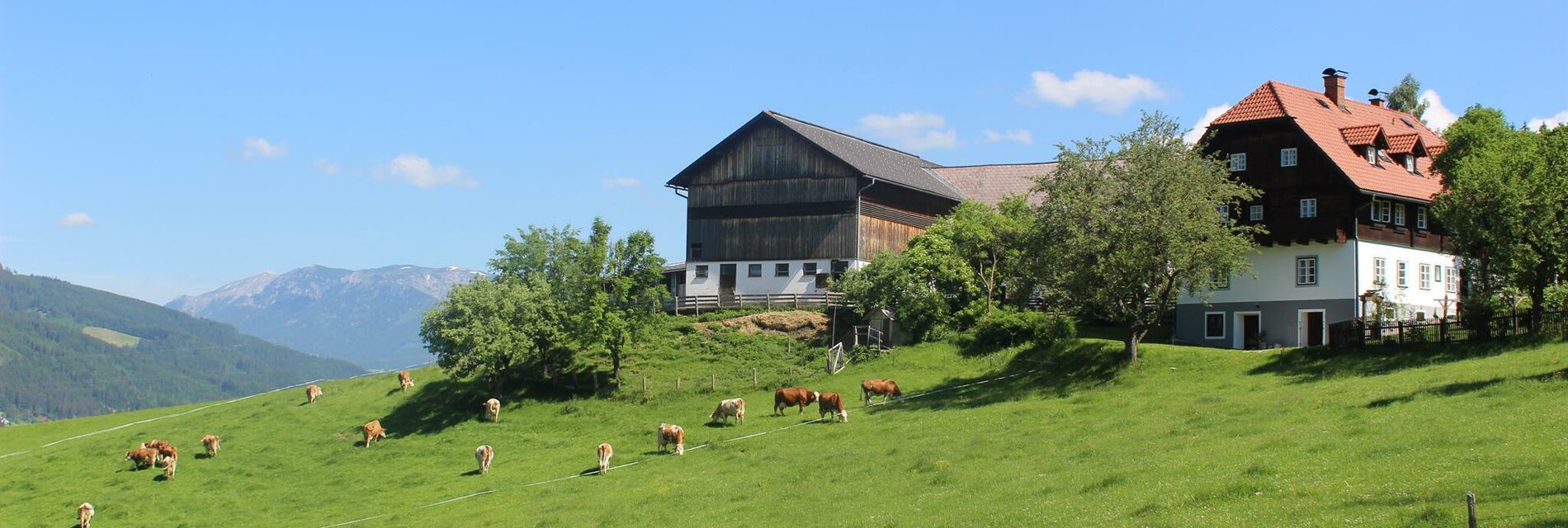 Unsere Unterkunft