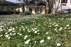 Ansicht Hof Michi Lorenz