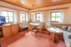 Gemütlicher Wohnraum mit Küchenecke