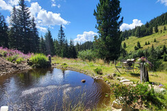 4.8.2022 - Hütte  (1)