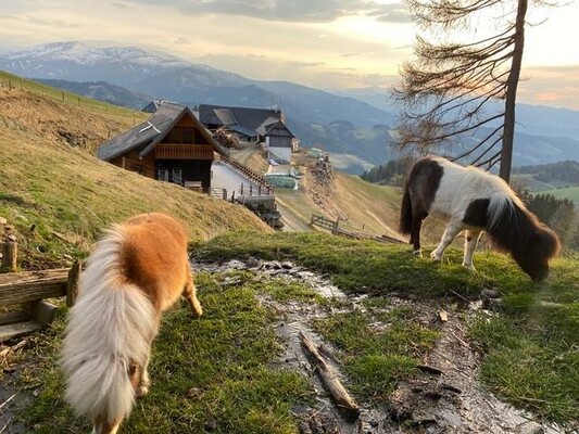 Burgerlhütte-Außenansicht-Murtal-Steiermar | © Burgerlhütte