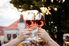 Schilchertage 2022 61