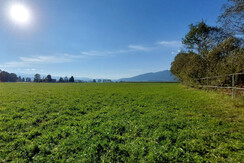 CampingKaltenbrunner-Zeltplatz-Murtal-Steiermark