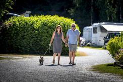 CampingMurinsel-Hunde-Murtal-Steiermark