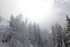 IMG_20240224_141226 (2)