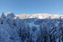 IMG_20240224_082005 (2)