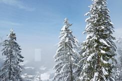 IMG_20240224_141344 (1)