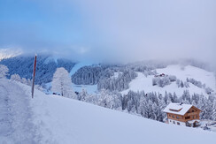 IMG_20240224_075724 (1)