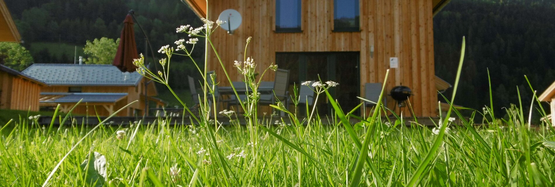 Blick auf Terrasse Sommerfotos