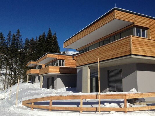 Chalet Lachtal - Winter