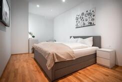 cityflat_schladming_appartement_planai_skiurlaub_s