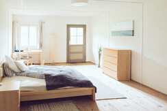 DasDetoxAlmhaus-Penthouse-Murtal-Steiermark