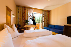 Das Schmied Balkontüre