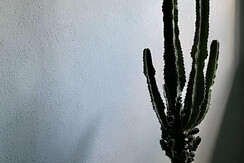 Auszeit Innehalten Atmen Südsteiermark