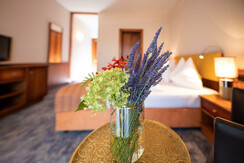 Double room Hotel Die Herberge Loipersdorf