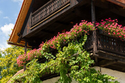 20230729-NPH_8209