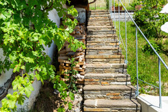 20230729-NPH_8210