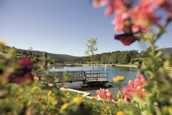 059W3199 Naturbadeteich Fischbach (c) Dorfhotel Fa | © (c) Dorfhotel Fasching_Karl Schrotter