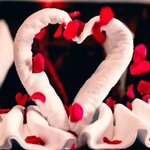 Bild von Doppelzimmer, Dusche, WC, Superior