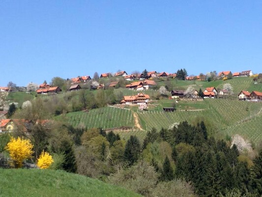 Aussicht | © Ferienwohnung Zorn