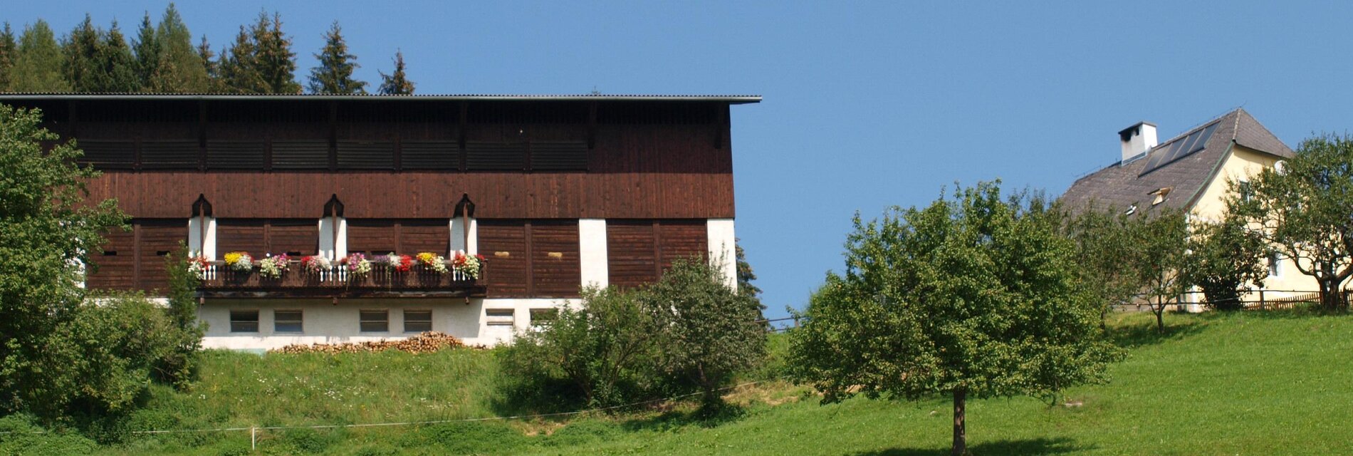 FerienwohnungHochfelner-Couch-Murtal-Steiermark