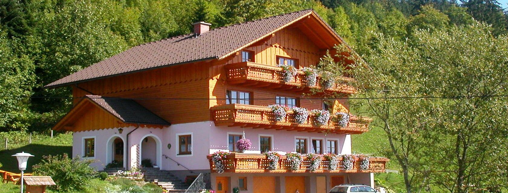 Familie Steinbrecher, Bad Mitterndorf, Sommer