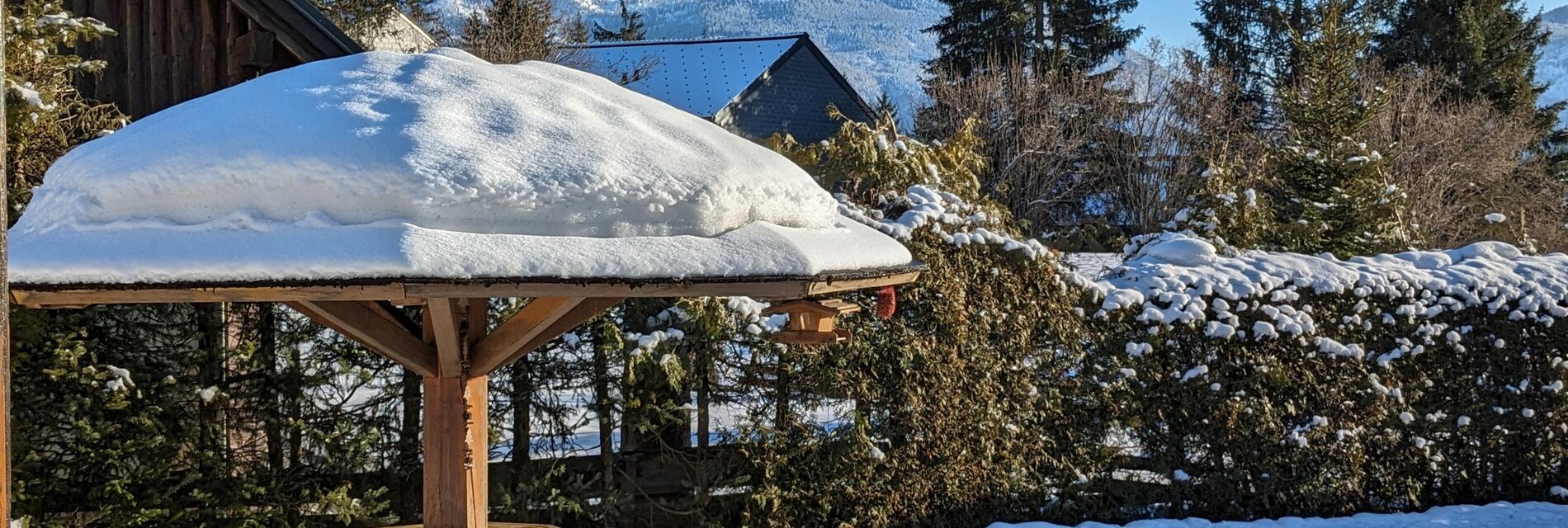 PXL_20240110_134501506