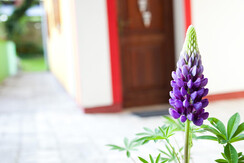 Eingangsbereich FH 1