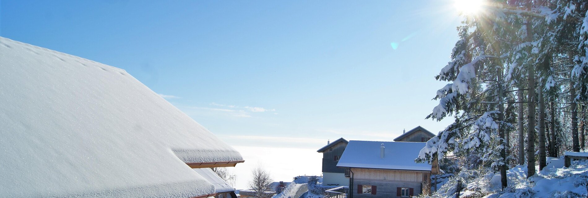 Wintersonne am Pöllauberg