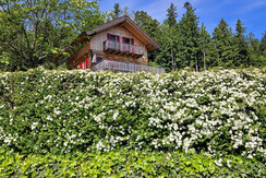 Ferienhaus mit fünf schlafzimmer